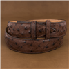 Tobacco Full Quill Ostrich 1 1/2" Belt