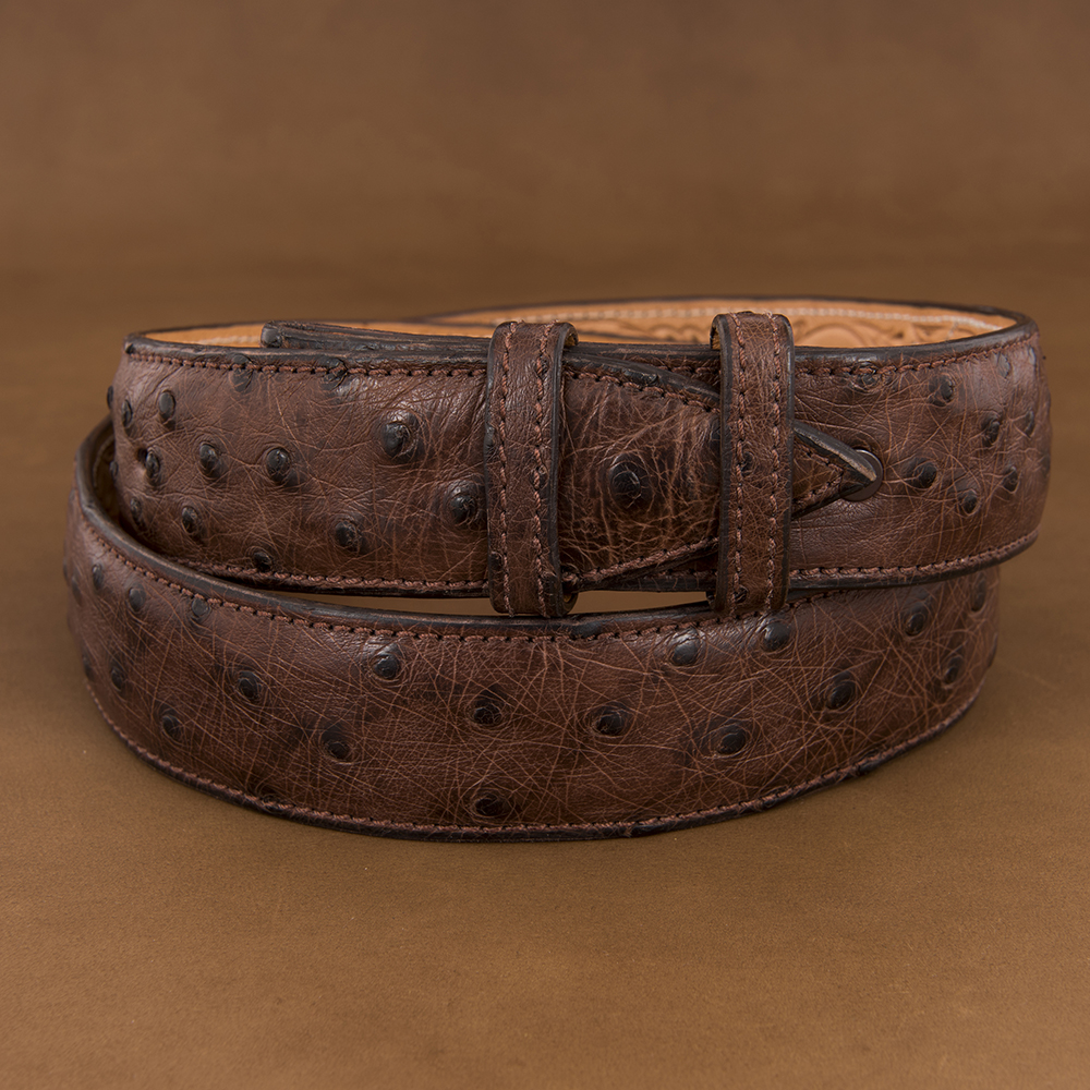 Tobacco Full Quill Ostrich 1 1/2" Belt